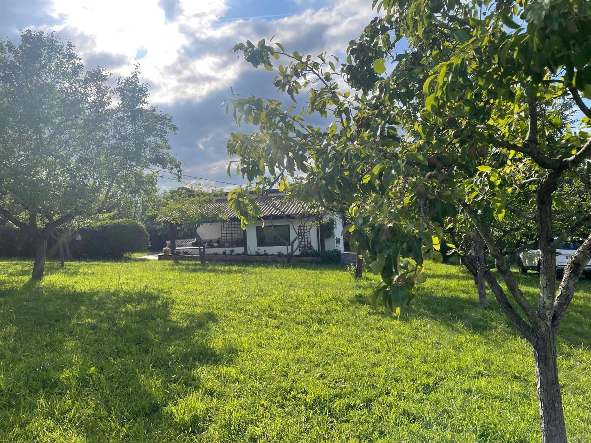 فيلا Casa Benjamin اوفيدو المظهر الخارجي الصورة